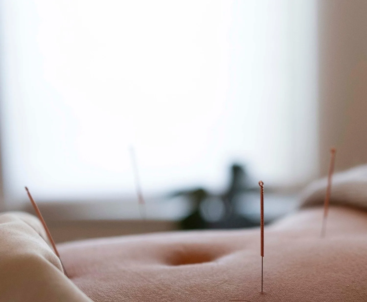 Patient receiving Chinese herbal medicine consultation at Point Acupuncture in Portland, Maine