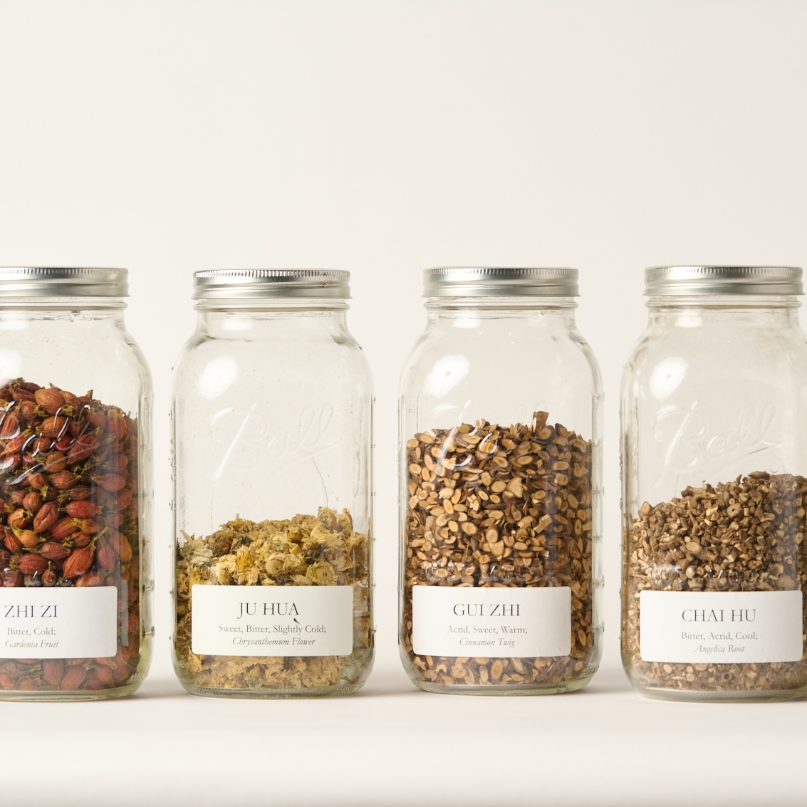 Patient receiving Chinese herbal medicine consultation at Point Acupuncture in Portland, Maine