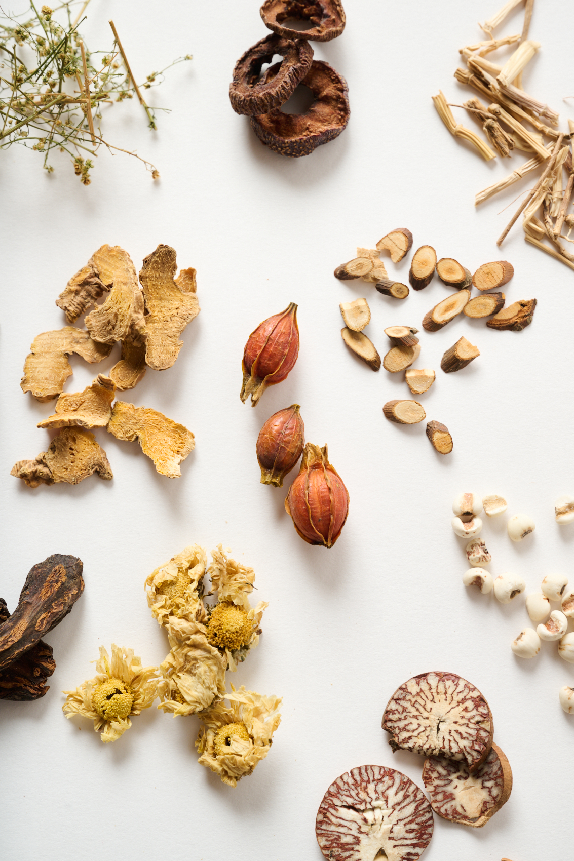 Patient receiving traditional Chinese cupping therapy on the back at Point Acupuncture in Portland, Maine
