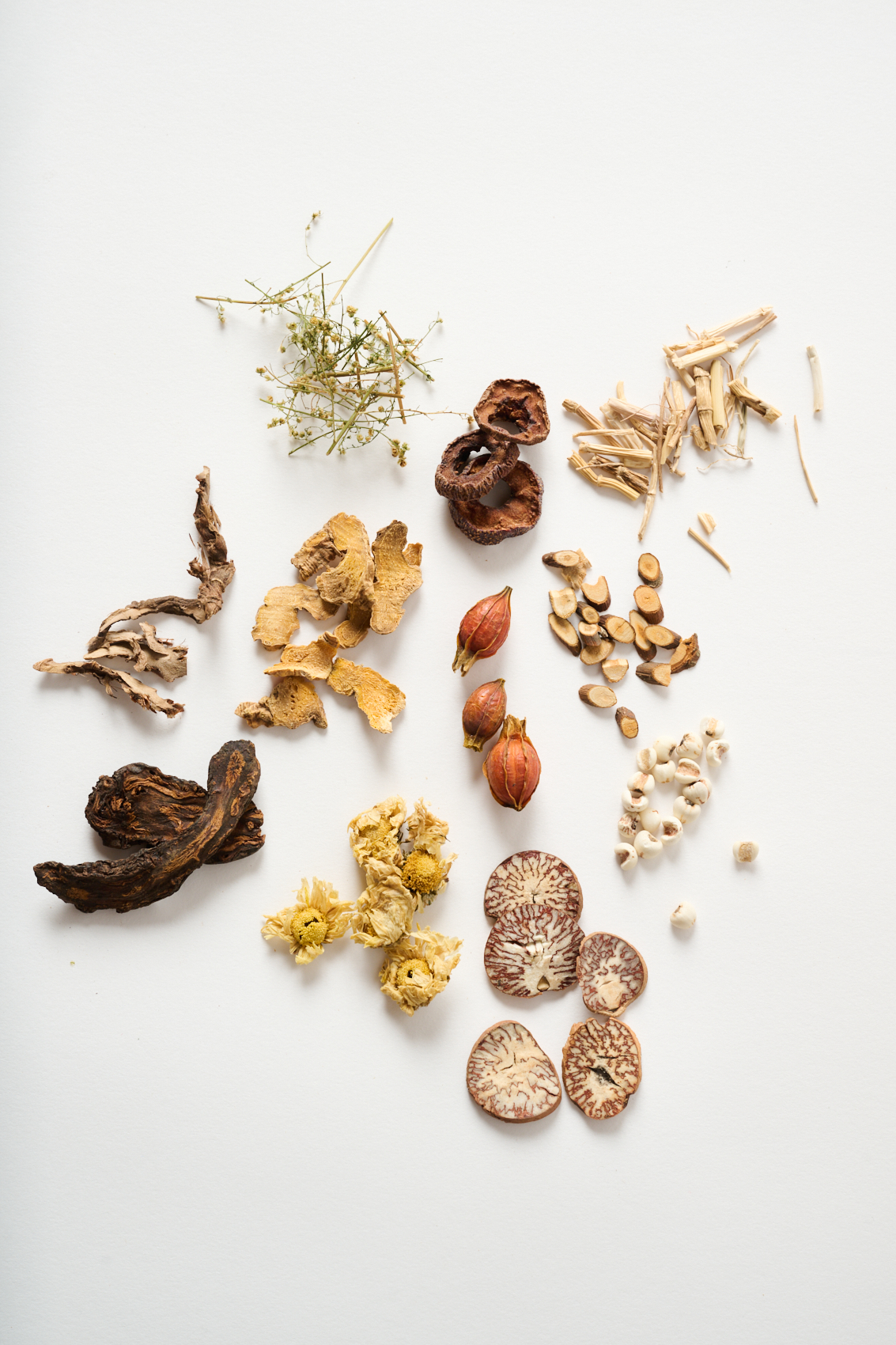 Personalized acupuncture and Chinese medicine treatment plan being developed for a patient at Point Acupuncture in Portland, Maine